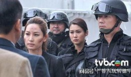 在线观看乘胜阻击,揭秘抗疫英雄的逆行之路